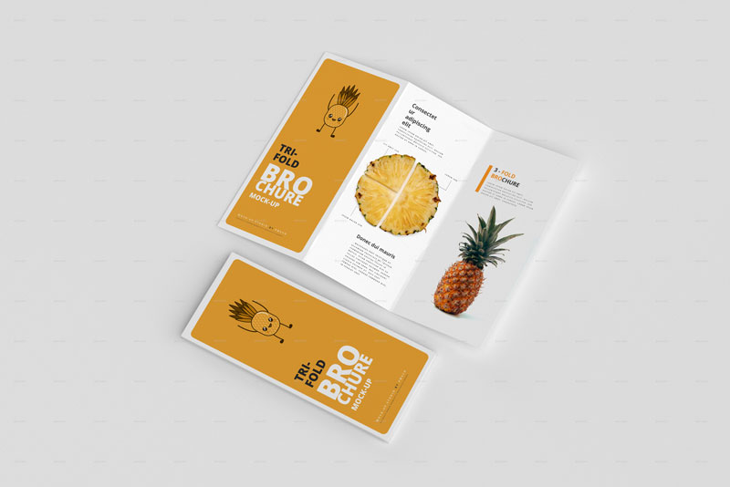3-Fold (Tri-Fold) Brochure Mockups 26039647
