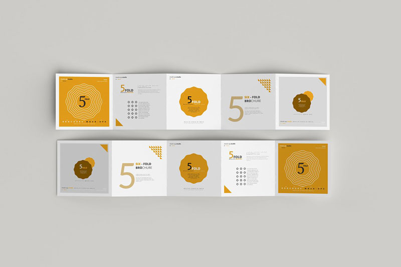 5 Fold Square Brochure Mockups 4749557