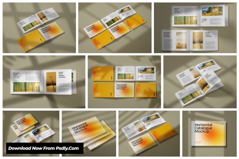 Horizontal Catalogue Mockup Set 4979491 Horizontal Catalogue Mockup Set 4979491
