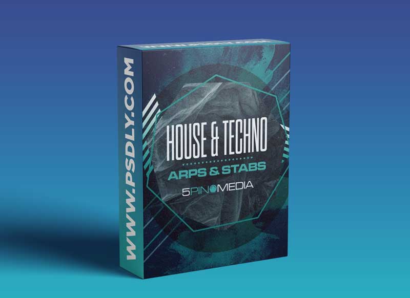 5pin Media House and Techno Arps and Stabs