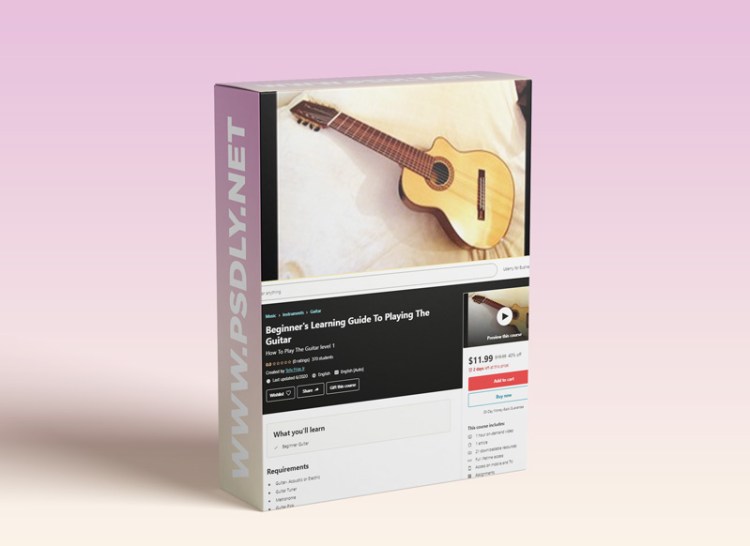 Beginner's Learning Guide To Playing The Guitar