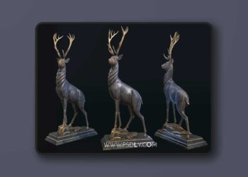 Animal Sculptures (4.27 and 5.0 – 5.4)