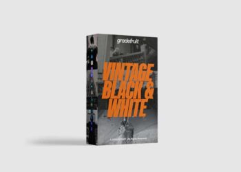 GradeFruit Vintage Black and White LUTs LR Presets